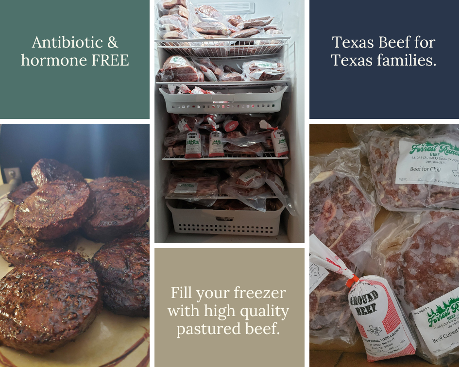 Fill your freezer with high quality pastured beef.
